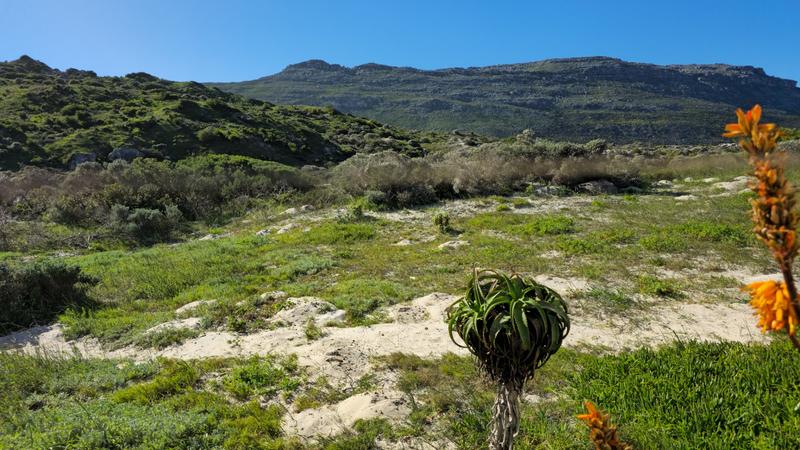 6 Bedroom Property for Sale in Fish Hoek Western Cape